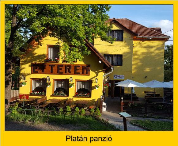 Platan Panzio Hotel Dobogókő Exterior foto